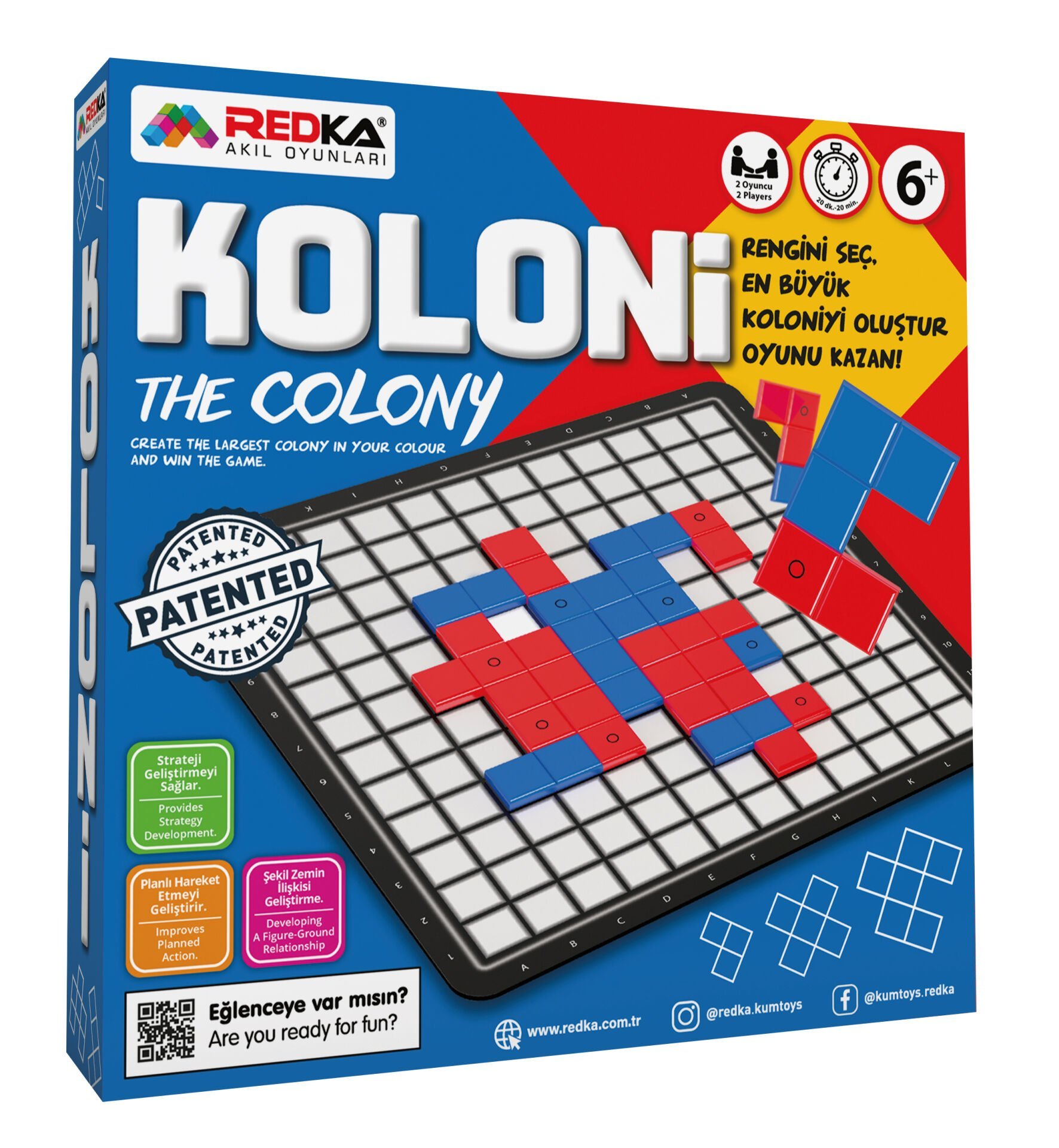 RED-5444 REDKA KOLONI 24