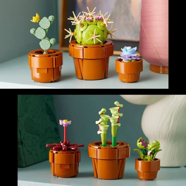 ADOL-LAD10329 TINY PLANTS 4