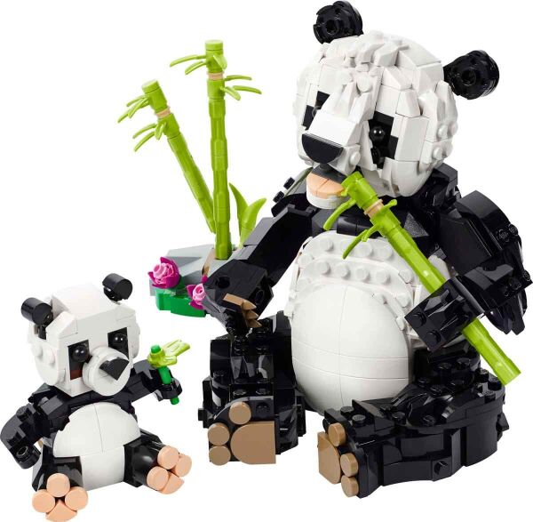 ADOL-LMC31165 PANDA AILESI 3